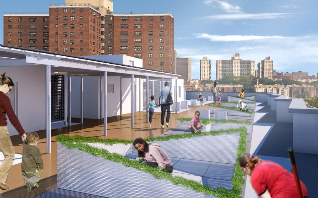 Urban Rooftop Garden