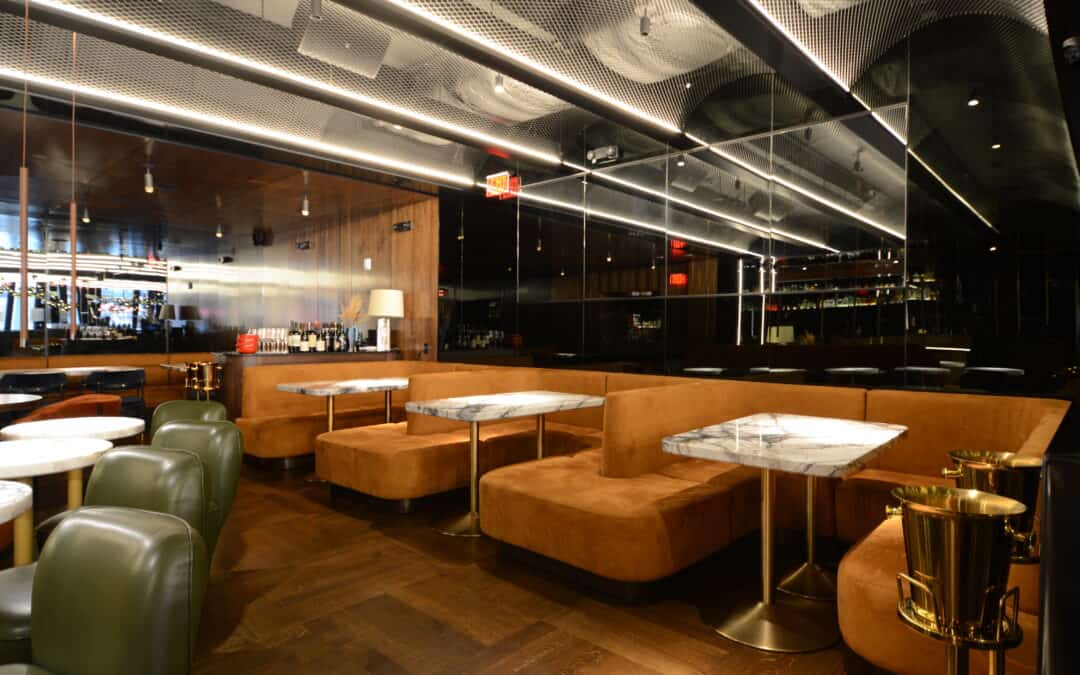 Mollusca NYC